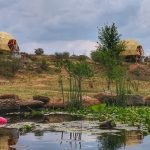 IMG_20211030_132238-01